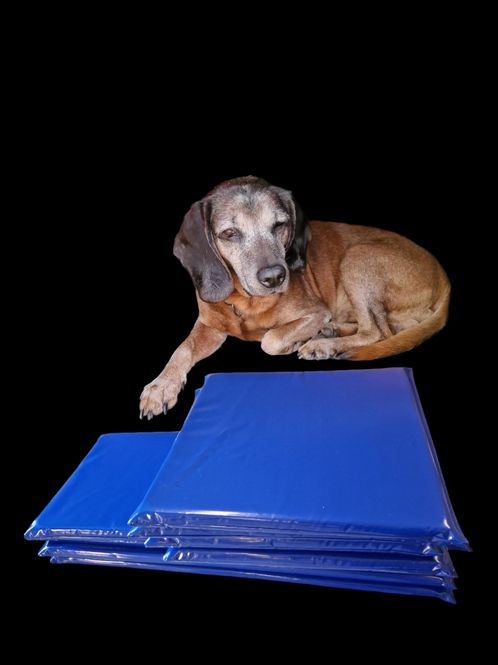 Hovedbilde Hundematte 75x46x5
